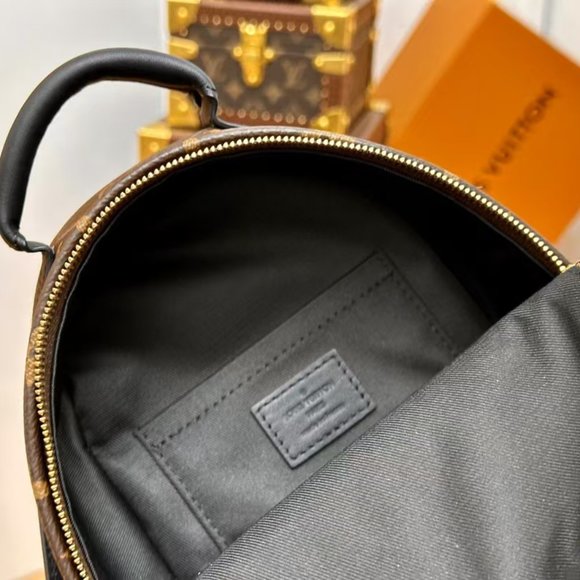 LV Brand new Louis Vuitton brown backpack casual bag travel bag main image 5
